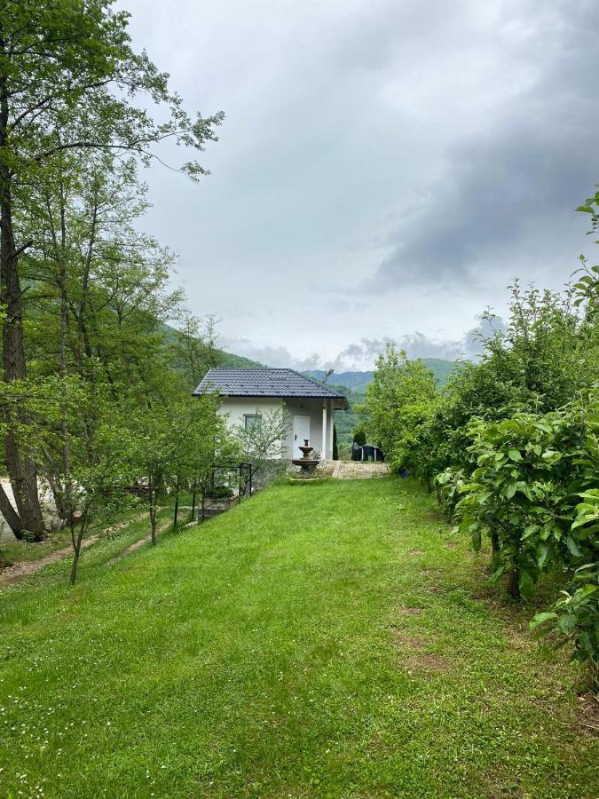 Golden Dream Villa Яйце Екстериор снимка